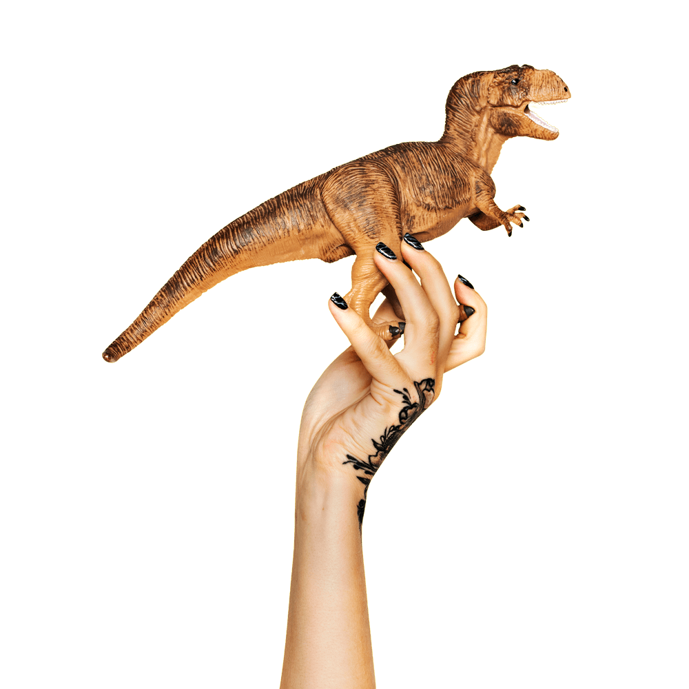dino-8d dino-8d